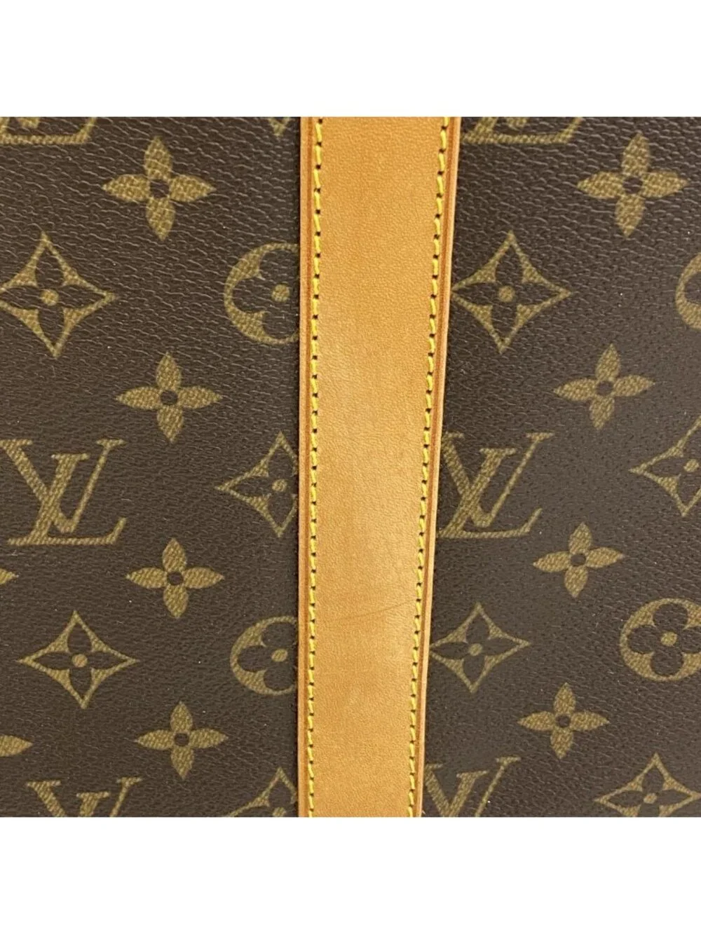 Louis Vuitton Pet Carrier Monogram Sac Brown